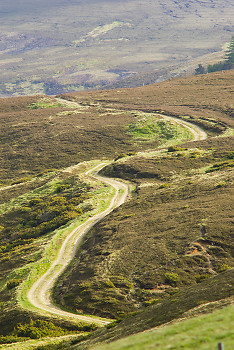 Country Road ~ Landscape picture from Scotland Scotland.