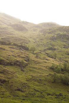  Landscape picture from Scotland Scotland.