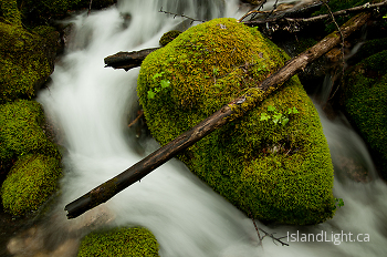 A Rock and a Log ~ Creek picture from Slocan Valley Canada.