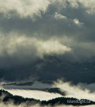 Vaporous Wilderness Landscape ~ Landscape  picture from Vancouver Island Canada.