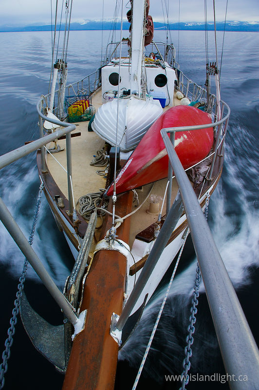 Heading Home - Georgia Strait Sailboat photo