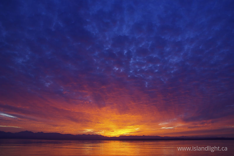 Solar Flair -  Sunset photo