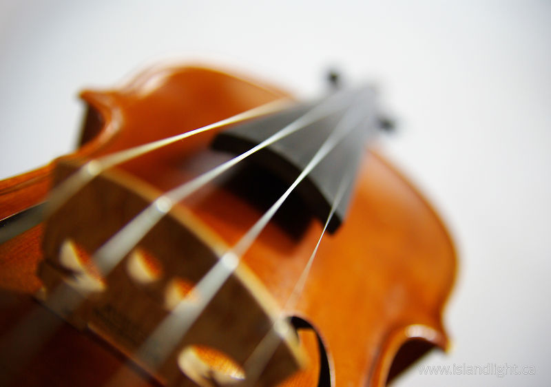 Violin -   photo