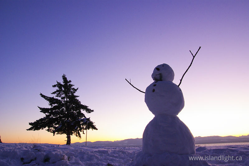   Snowman photo