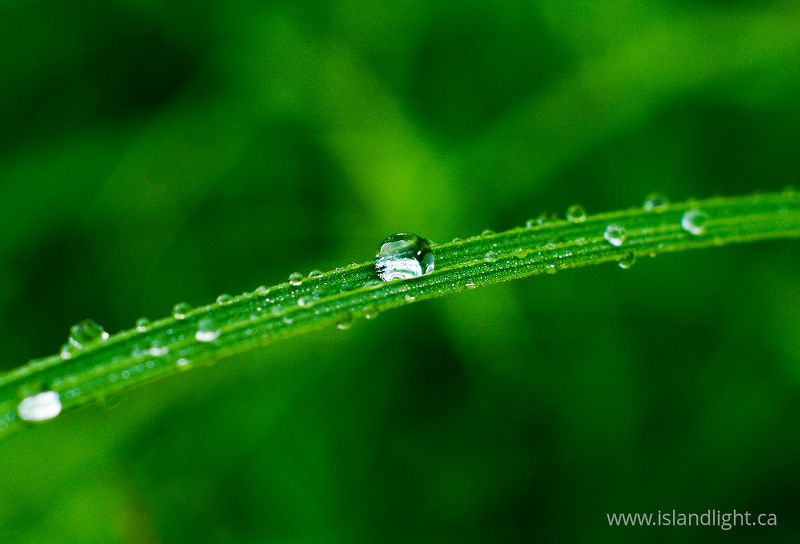   Droplet photo