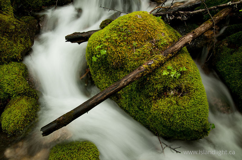 A Rock and a Log -   photo
