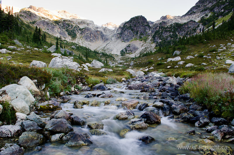 Alpine creek II - Brandywine Meadows Mountain photo