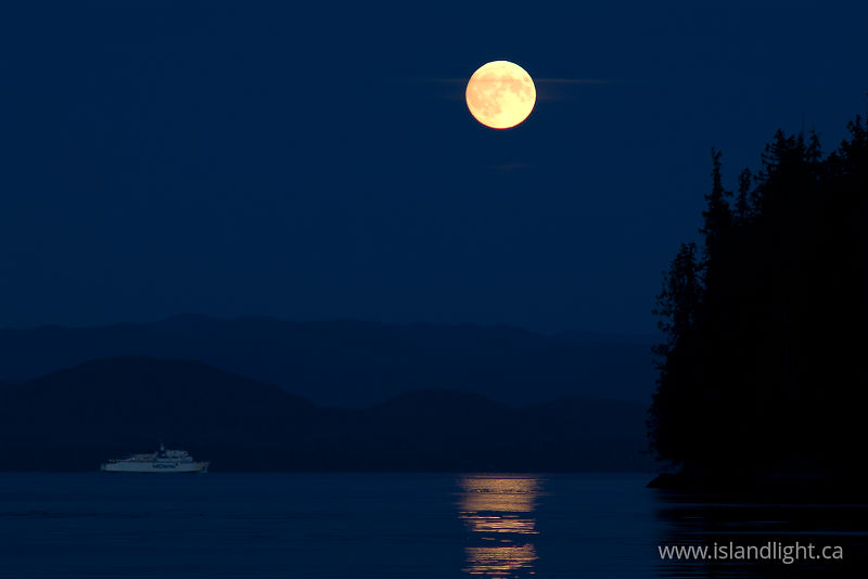 Prince Rupert Ferry - Calvert Island Ferry photo