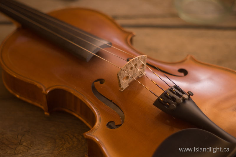   Violin photo