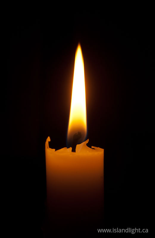 Candle -   photo