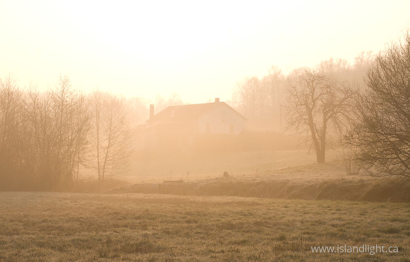 Misty Morning - Aillevillers  photo