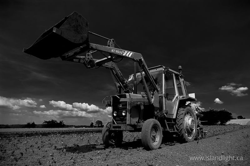 Work Horse - France Tractor photo