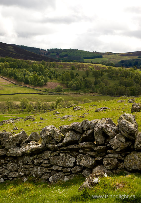 Stone Fence -  Fence photo