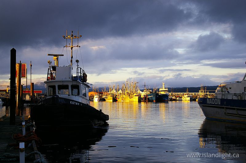 Moored Tugboat - Campbell River Tugboat photo