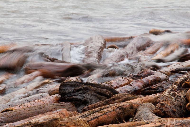 Beach Logs Battered by Swell -   photo