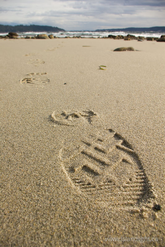 Boot Print - Cortes Island Beach photo