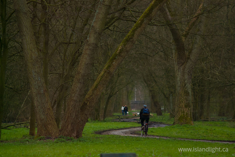 Amsterdam Cyclist - Amsterdam Park photo