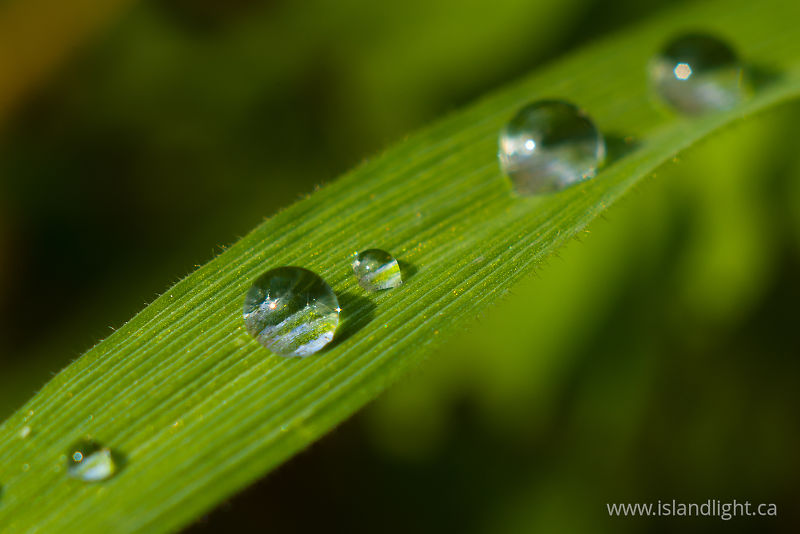   droplet photo