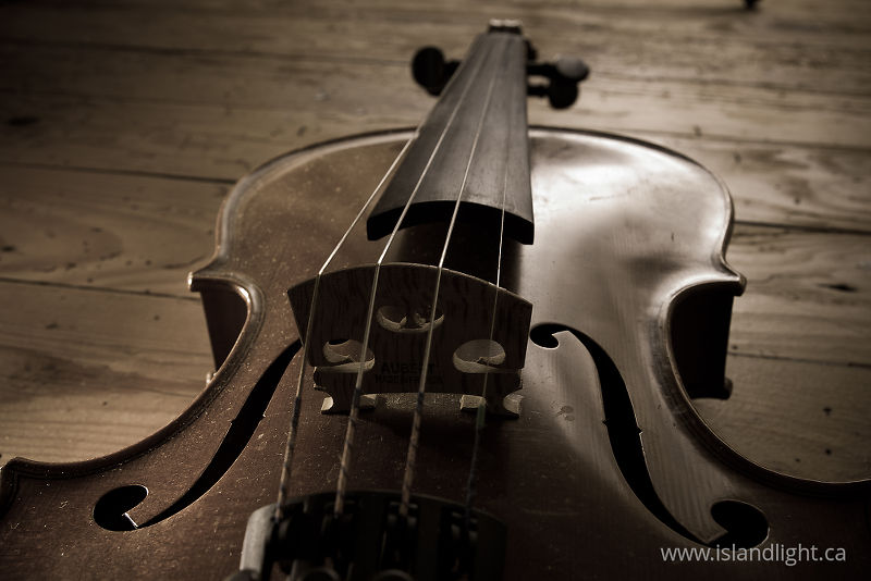 Fiddle -   photo