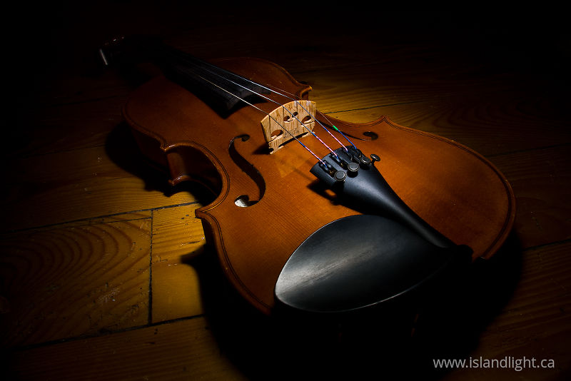 Violin -  Violin photo