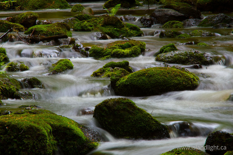 Water Flowing Over Stones -  River photo