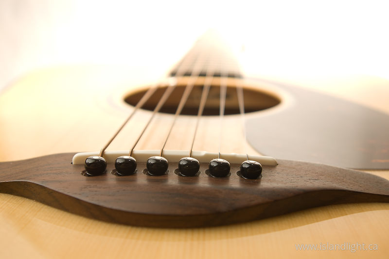 Steel Sting Guitar -  Guitar photo