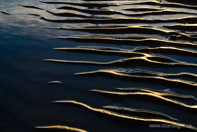 Shore line - Cortes Island Seashore  photo