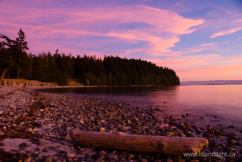 Pink and Purple - Cortes Island  photo