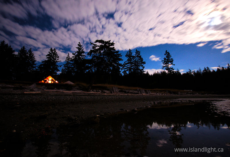 Just Moonlight - Cortes Island Night Landscape photo