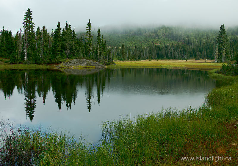 Paradice Meadows' Lake - Paradise Meadows Alipine Lake photo