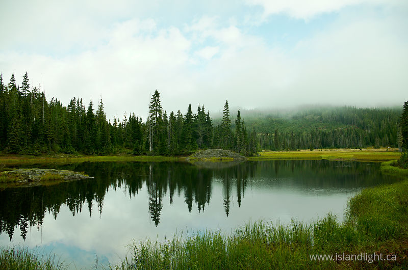 Paradice Meadows Landscape - Paradise Meadows Alpine Lake photo