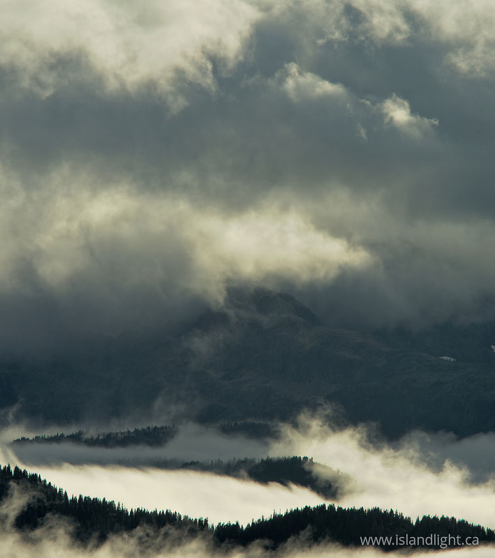 Vaporous Wilderness Landscape - Vancouver Island  photo