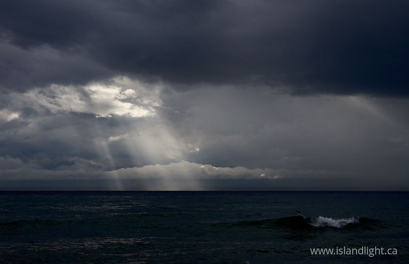 Illuminated  - Salish Sea Sunbeam photo