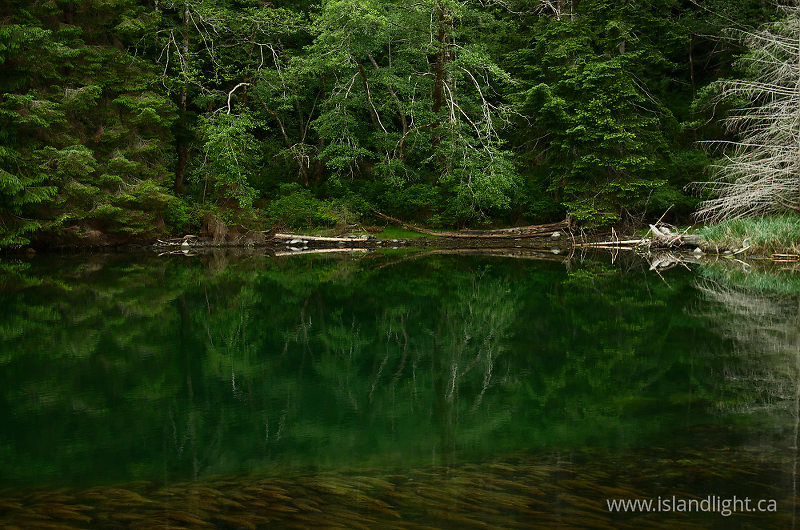 Still Water in Carrington Lagoon - Cortes Island  photo