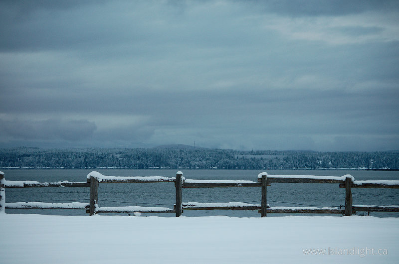 The Edge of the Back 40 - Cortes Island Fence photo