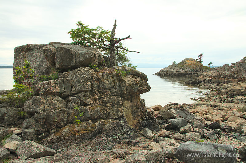 Oceanside Rock Formations - Lund Seashore photo