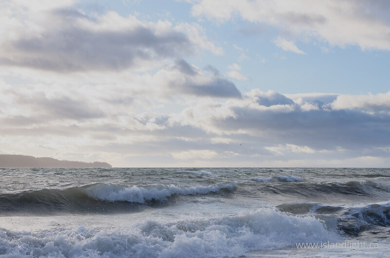 A Bright January Morning On Cortes Island - Cortes Island Ocean photo