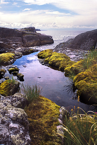 Landscape  photo from Mansons Landing Cortes Island, BC Canada.