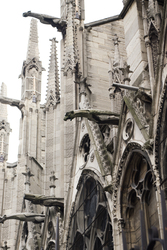 Gargoyles at Notre dame - Paris Church photo