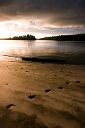 Footprints in the Sand 2 - Cortes Island  photo