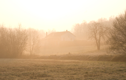 Misty Morning - Aillevillers  photo