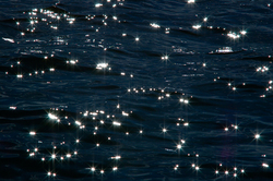 Stars II - Salish Sea  photo