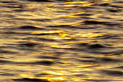  Salish Sea Reflection photo