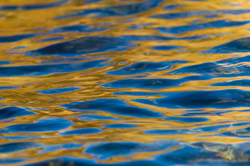 Reflections - Cortes Island Reflection photo
