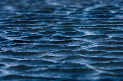 Ripples Blue - Salish Sea  photo