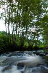  Aillevillers River photo