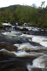  Scotland River photo