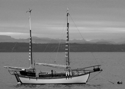 Adamastor - Cortes Island Sail boat photo