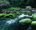 Emerald Creek - Landscape photo from Mansons Landing Cortes Island BC, Canada