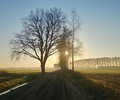 Morning in the dutch countryside - Landscape  photo from  Den Ham Overijssel, Netherlands
